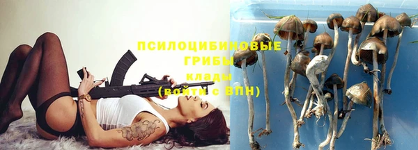 стафф Абдулино