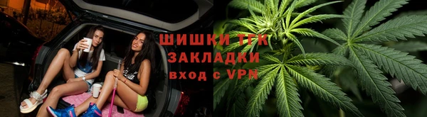 МДПВ Нефтегорск