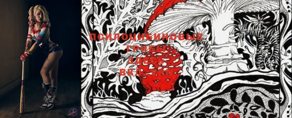 стафф Абдулино